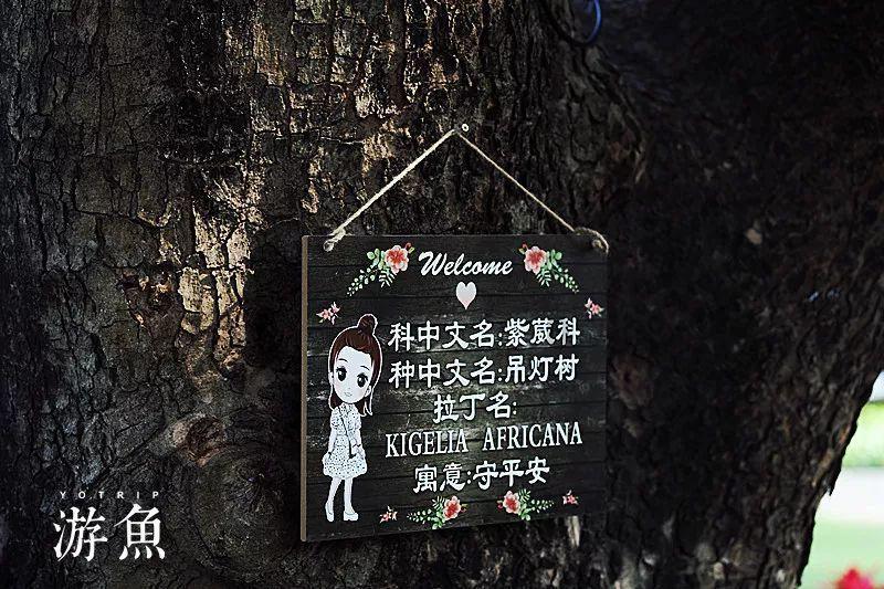 南孚电池：2024年货节智能门锁的优选能量源